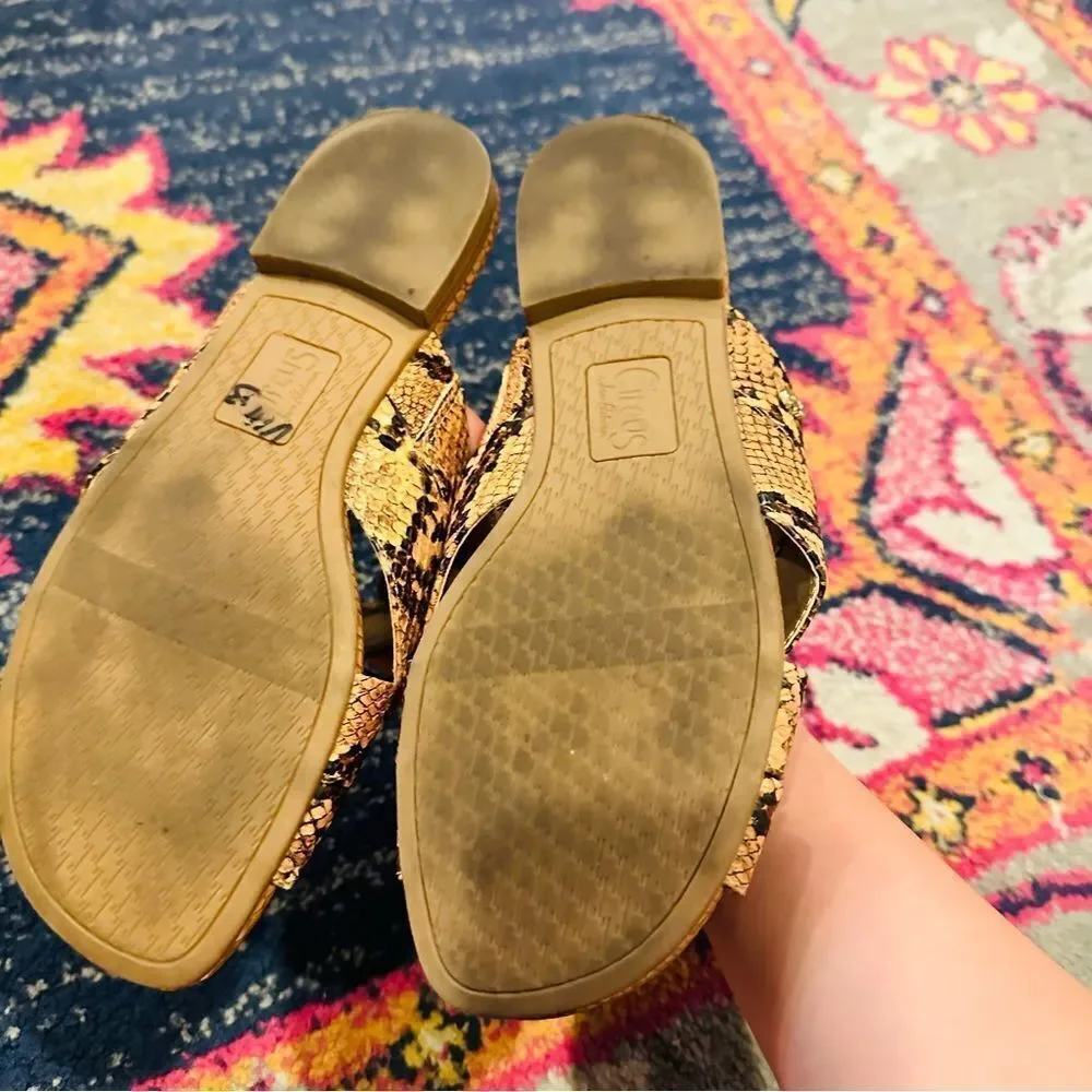 EUC Circus by Sam Edelman Burnett Snake Print Slides 7M